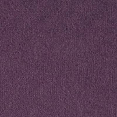 Paris Purple
